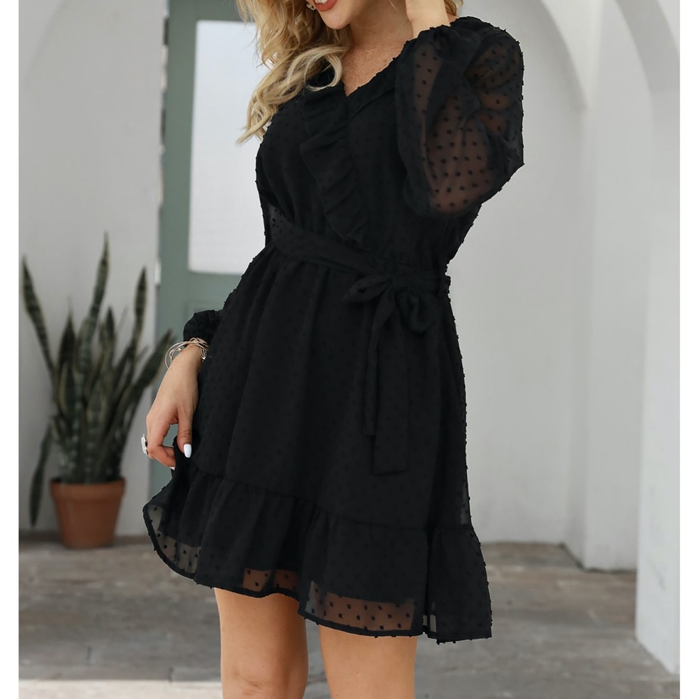 Black Swiss Dot Sheer Sleeves Ruffle Belted Dress - Picture 10 of 10